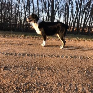 Meet your Posher, Ellaina